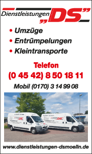 Banner mit Kontaktdaten und Leistungsübersicht für Dienstleistungen DS in Mölln zur schnellen Kundeninformation und Kontaktaufnahme.