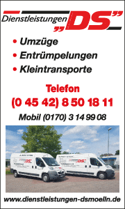 Dienstleistungen DS in Mölln Banner