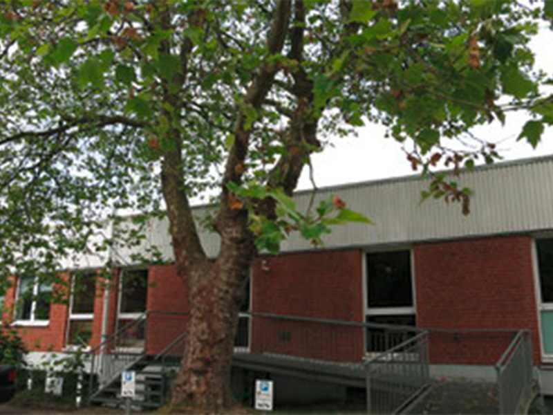 Außenansicht der Ergotherapiepraxis Frank Segger in Ratzeburg, Fachpraxis für Ergotherapie, Hausbesuche und individuelle Therapieangebote.