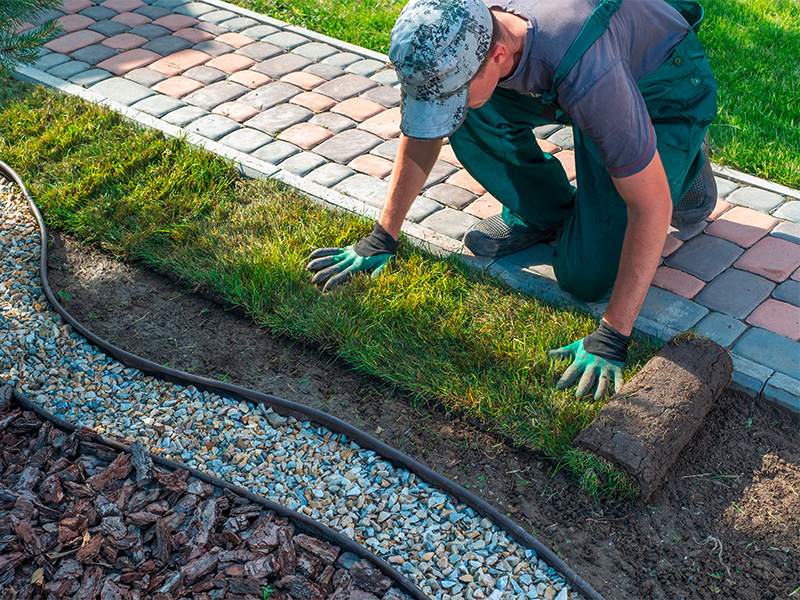 Landschaftsgärtner verlegt Rollrasen im Garten – professionelle Arbeit eines Landschaftsgärtners in Ratzeburg.