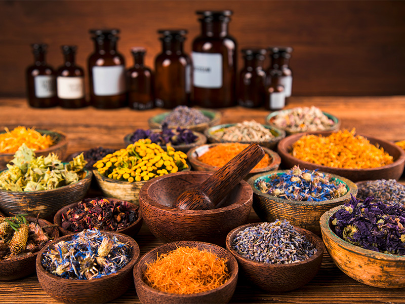 Glasfläschchen mit homöopathischen Globuli und frischen Heilkräutern auf Holz – Naturheilmittel der Homöopathie